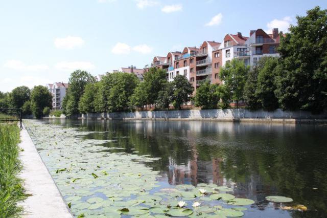 Apartament Bello - Free Parking Apartment Gdansk Exterior photo